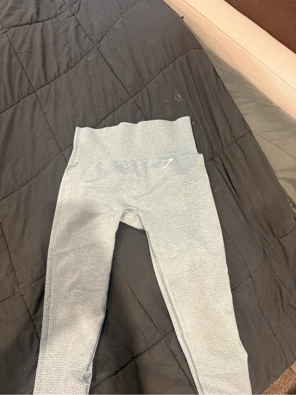 Gymshark Seamless Light Sky Blue Leggings